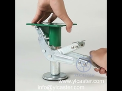 Тип шоу-YLcaster замка пола японский